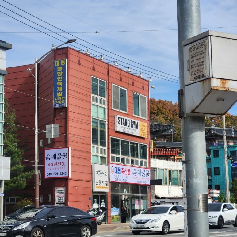 음매꿀꿀 이미지