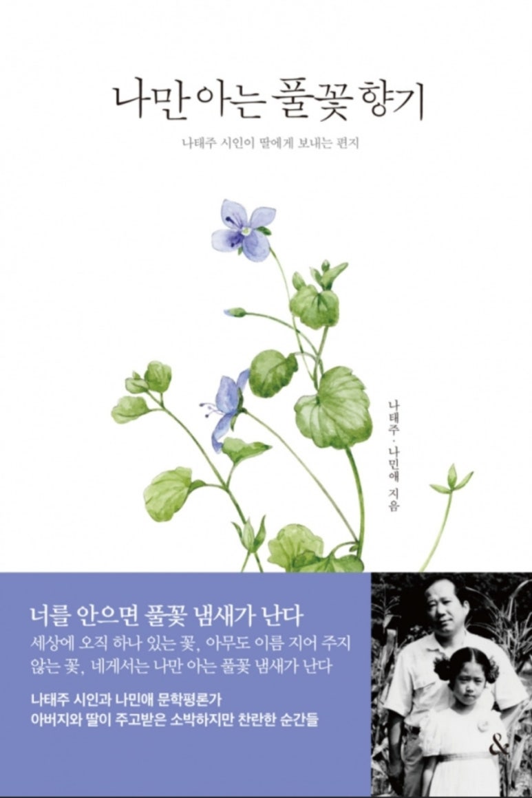 풀꽃향기 이미지