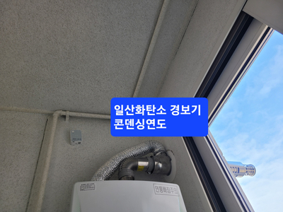 루이젠 이미지