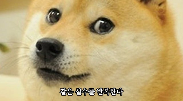 에코클린 이미지