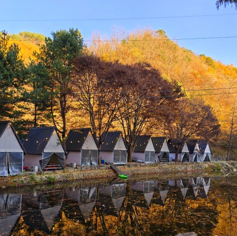 강촌관광농원 이미지