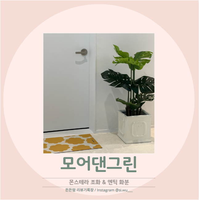 모어댄그린 이미지
