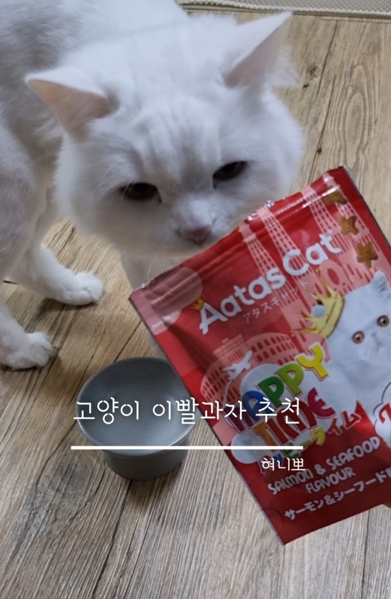 타임앤씨 이미지