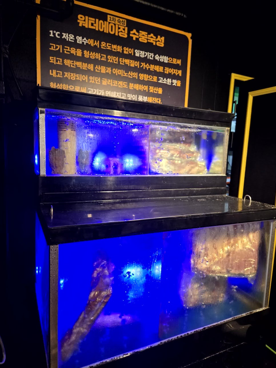고기연구소 이미지