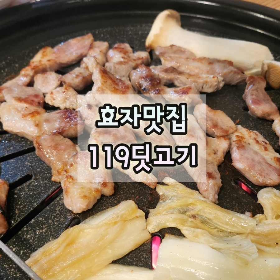119딧고기 이미지