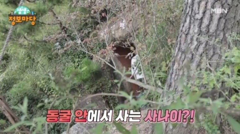 카페겸겸 이미지