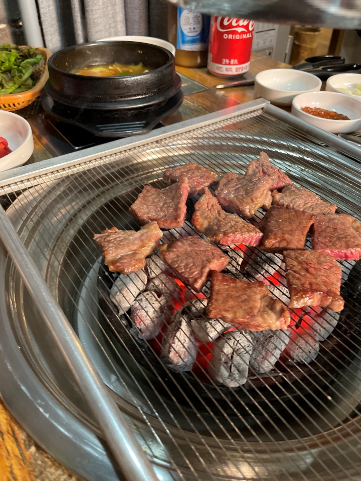 참토우 이미지