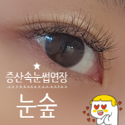 눈숲 이미지