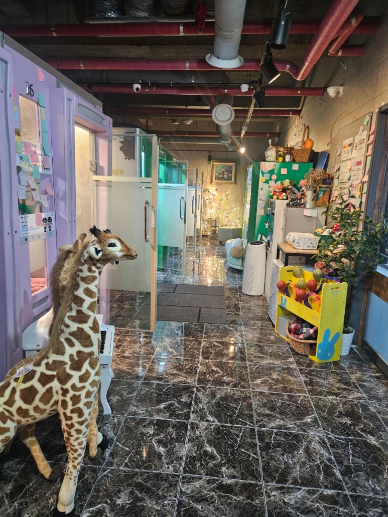 조이코인노래연습장 이미지