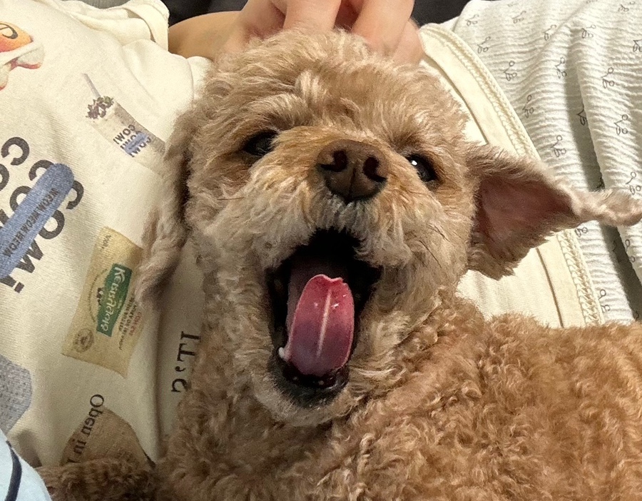 구덕레코즈 이미지