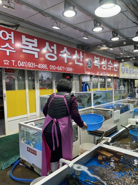 복성수산 이미지