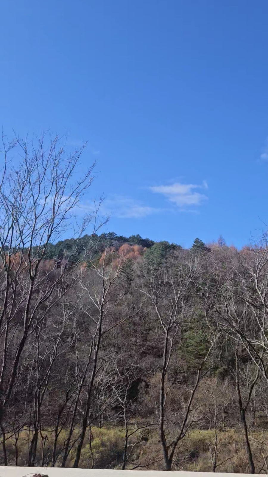바람부리 별밤 캠핑장 이미지
