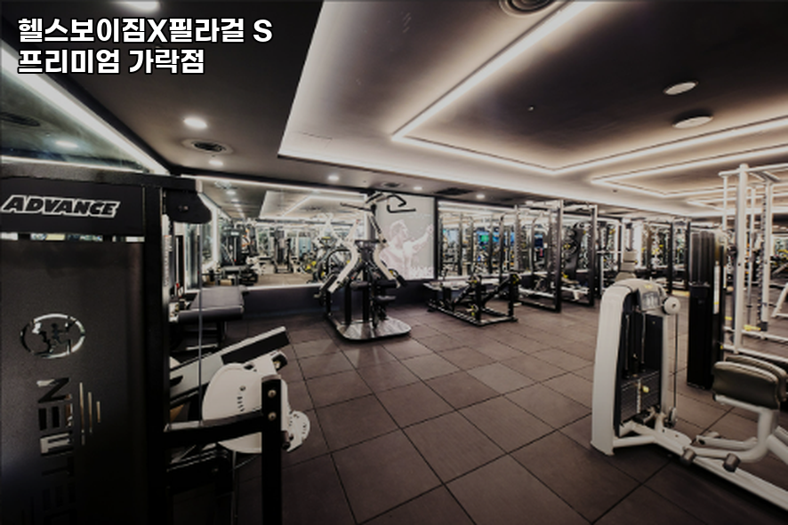 헬스보이짐가락프리미엄 이미지
