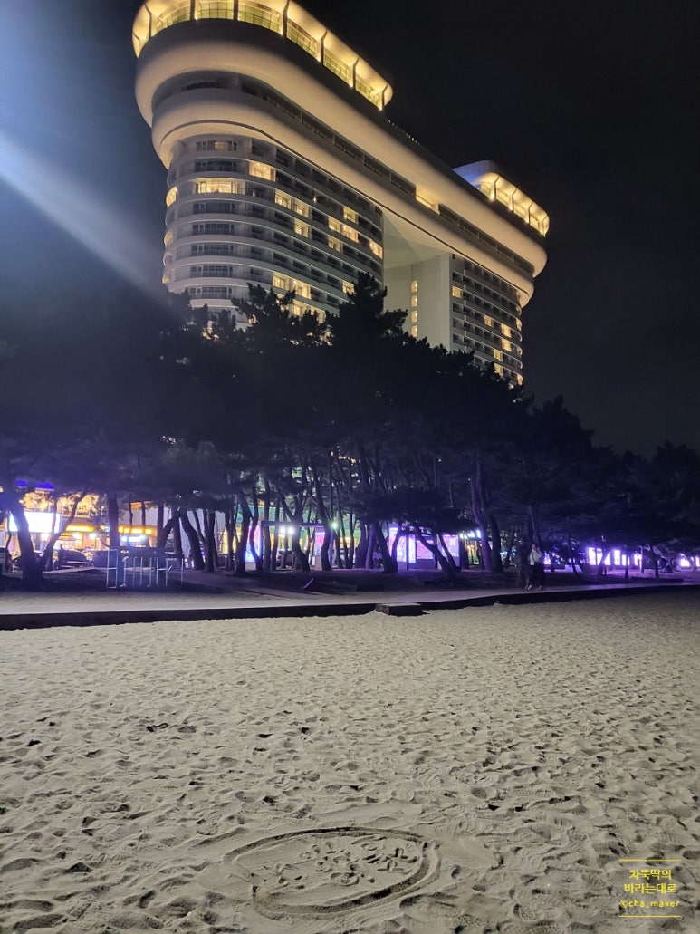 장안바이크 이미지