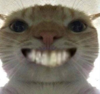 치킨클럽 이미지