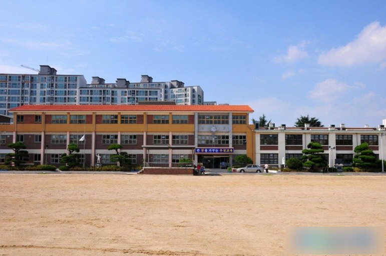네이버블로그