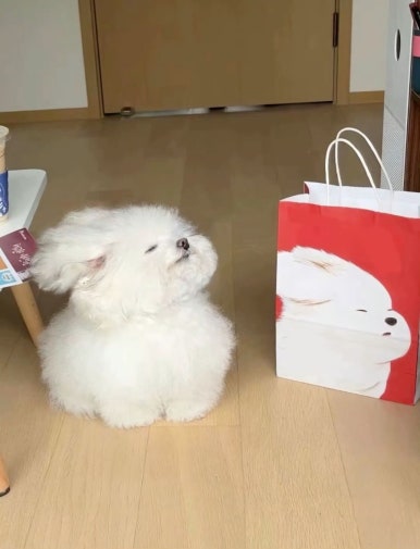 웁 이미지