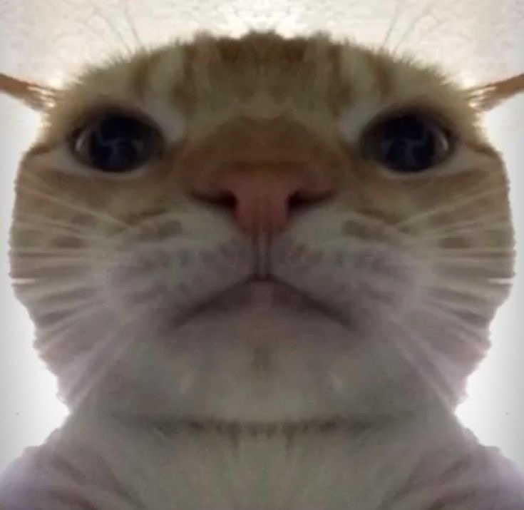 치킨클럽 이미지