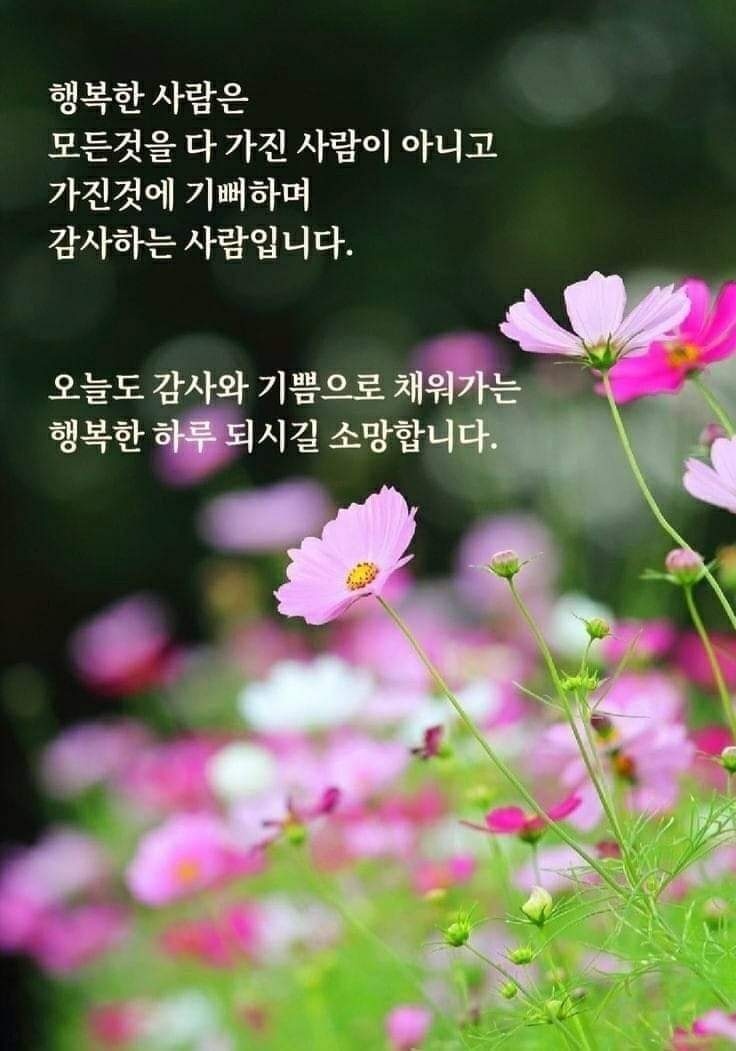 우리수산풍천장어 이미지