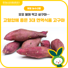 호호 불면서 먹고 싶구마... 고혈압에 좋은 3대 면역식품 고구마🍠 바로가기