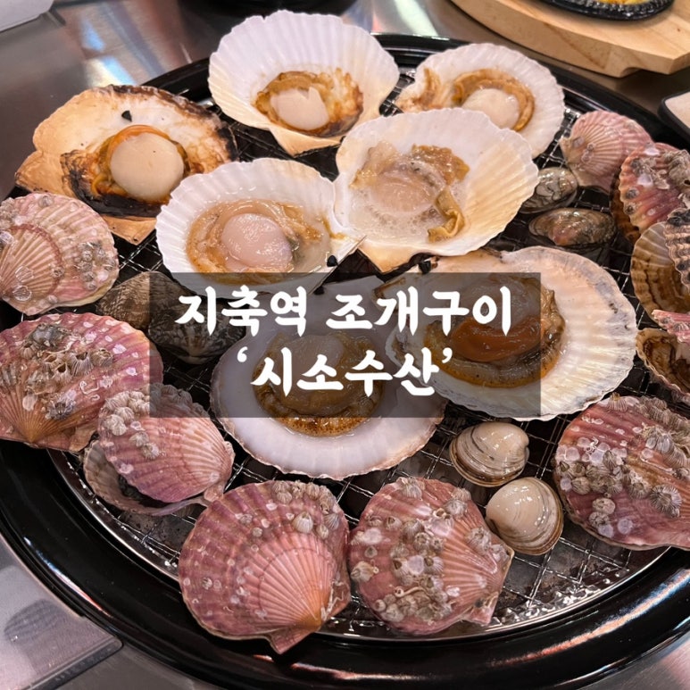 야옹수산 이미지