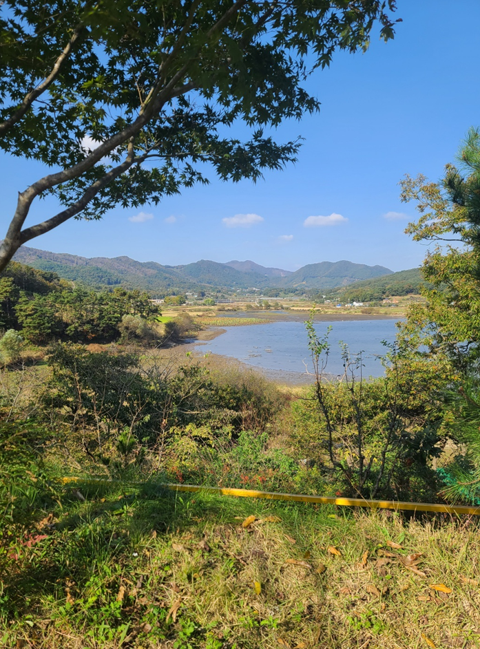 옥산 호수정원(진달래 관광농원) 이미지