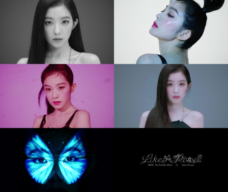아이린플라워 이미지