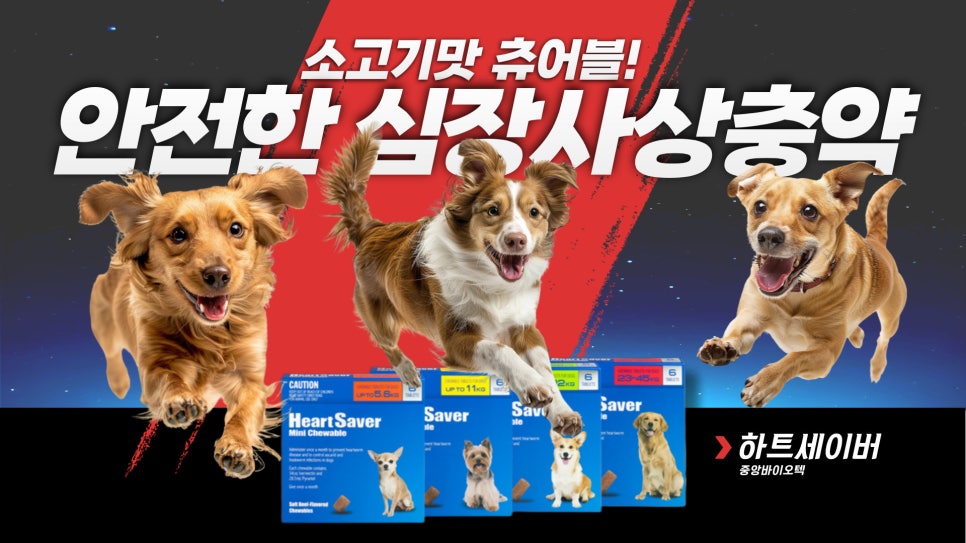 남양스타치과 이미지