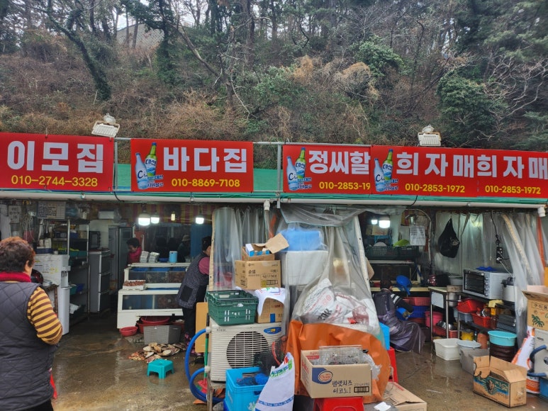 조성꽃순이 이미지