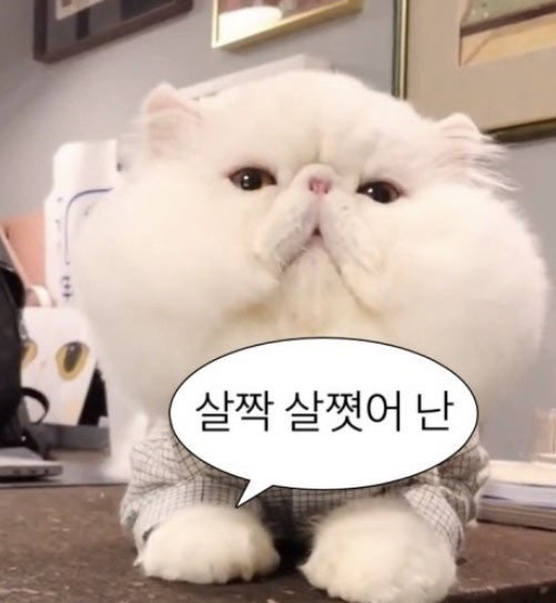 청하족발 이미지