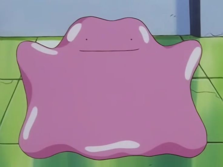 수상카 이미지