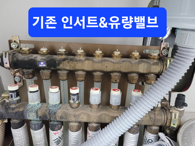 루이젠 이미지