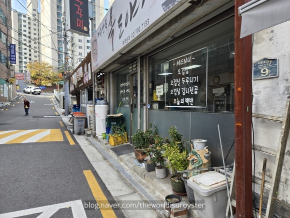 제주방목흑도야지 사진 7