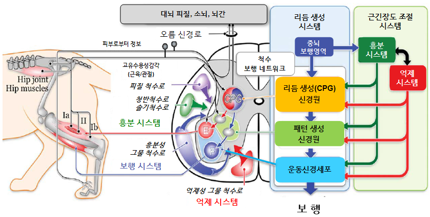 큰솔2병원 이미지