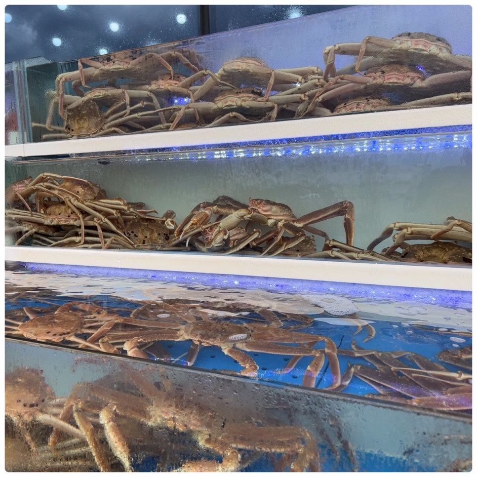 올바른수산 이미지