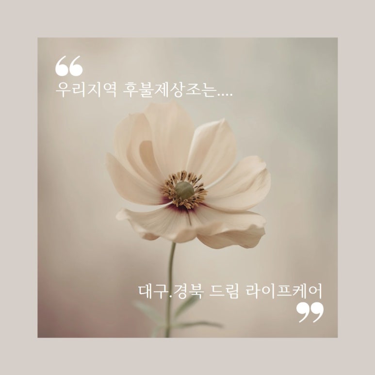 송현장례식장 이미지