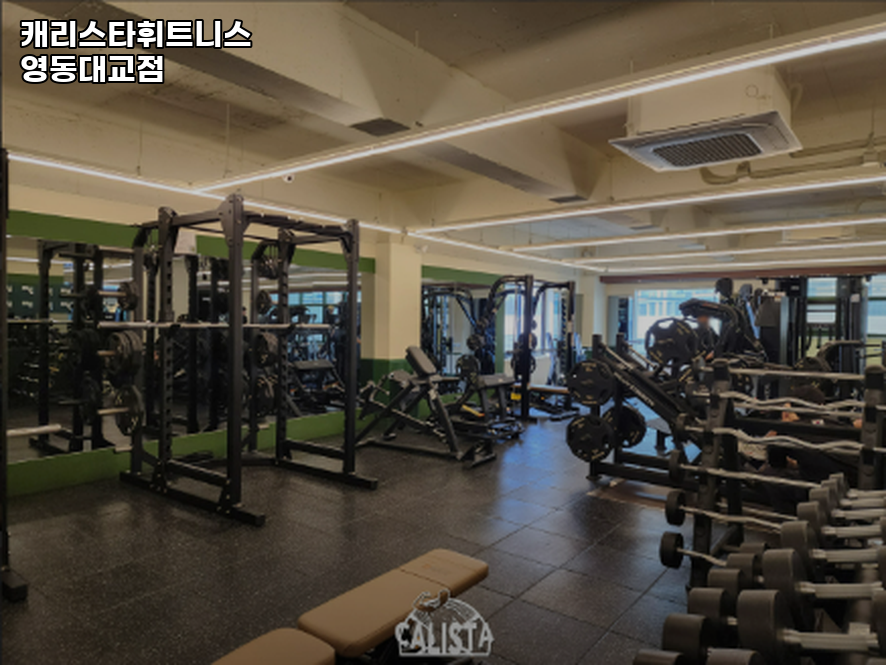 캐리스타휘트니스 이미지