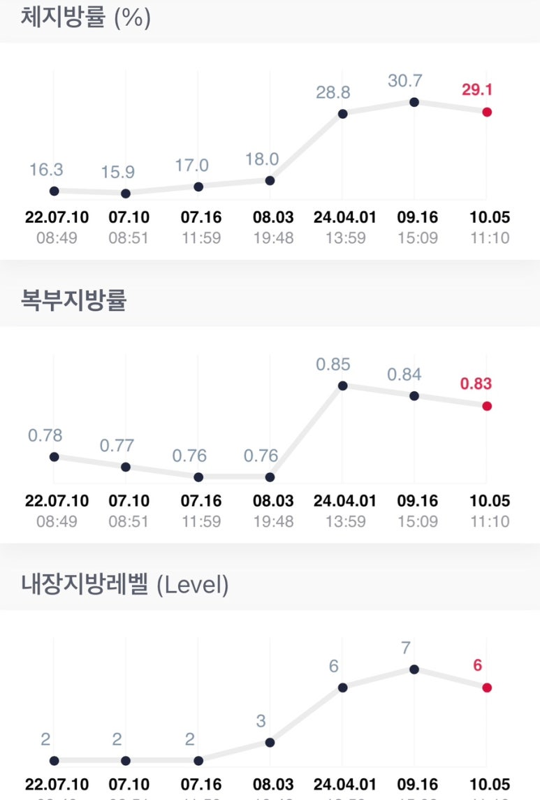 더핏하이브 이미지