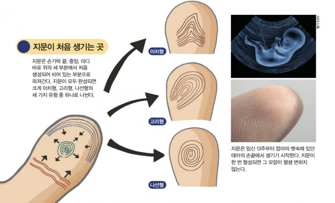 다중지문 이미지