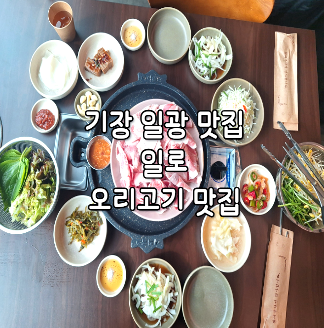 일로야채 이미지