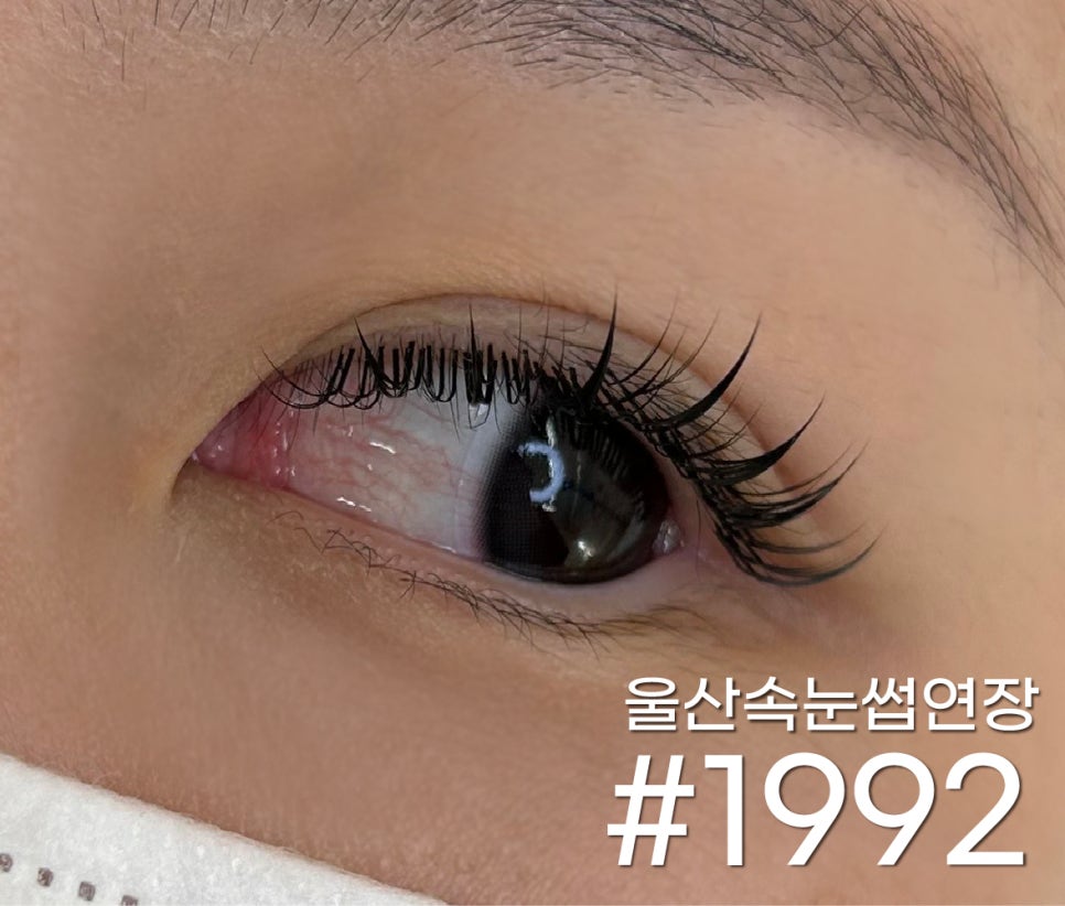 샵1992 이미지