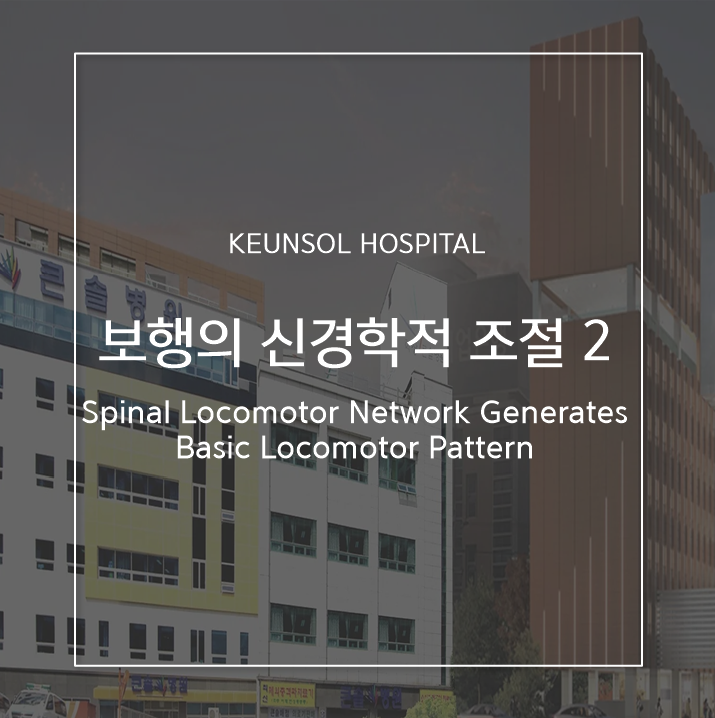 큰솔2병원 이미지