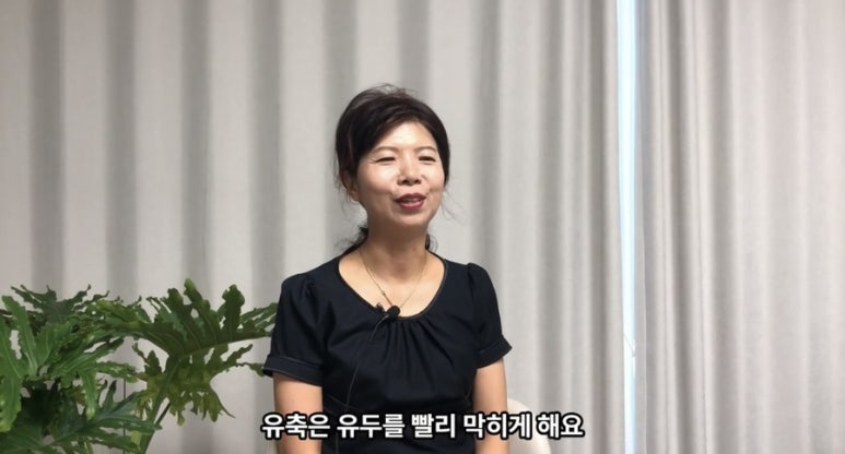 드이자르 산후도우미 이미지