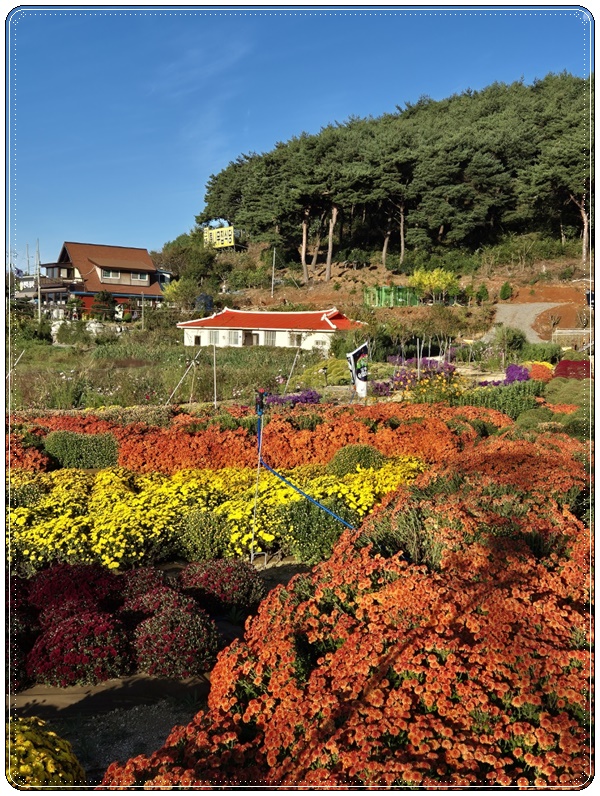 소화식당 이미지