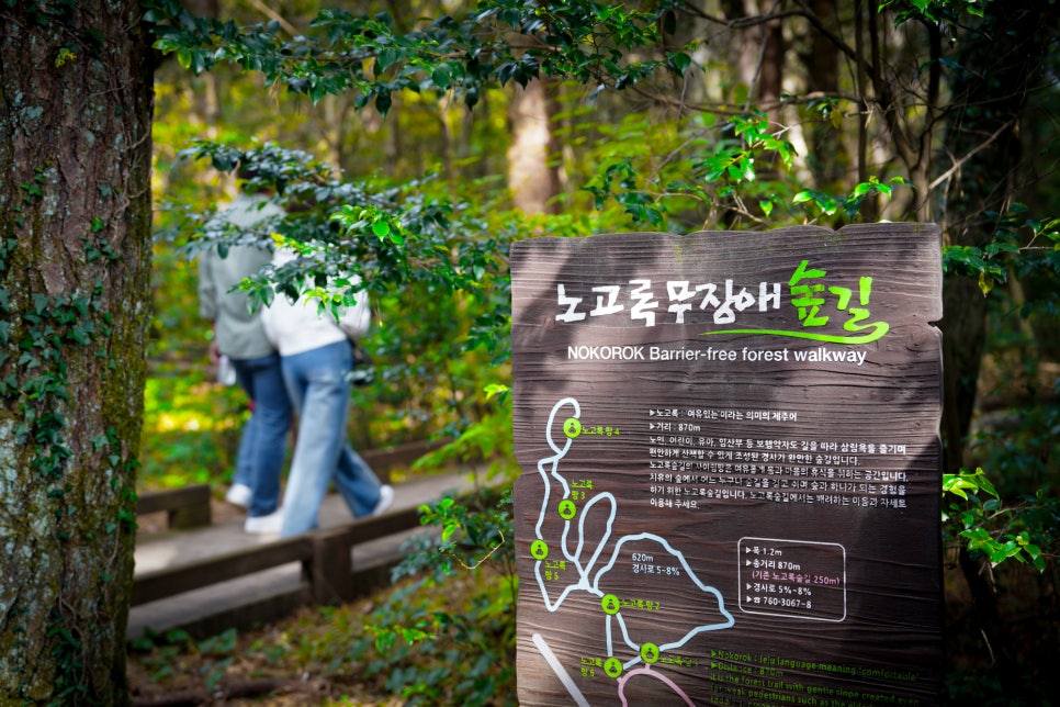 웰니스캠프 이미지