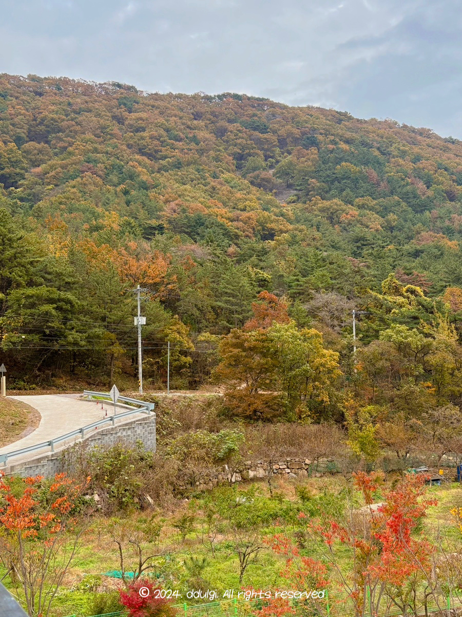 밭 이미지
