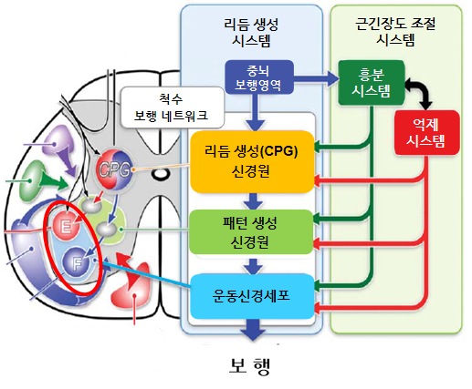 큰솔2병원 이미지