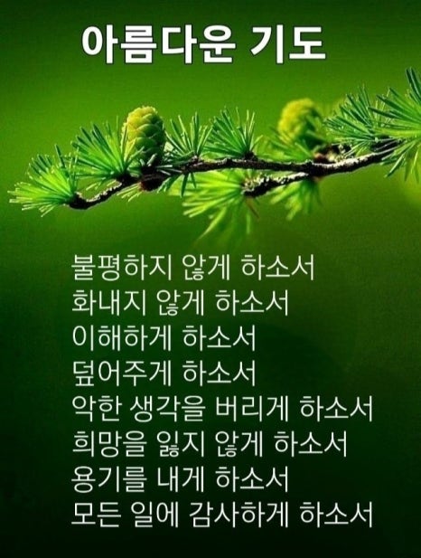 하늘과열매(주) 이미지