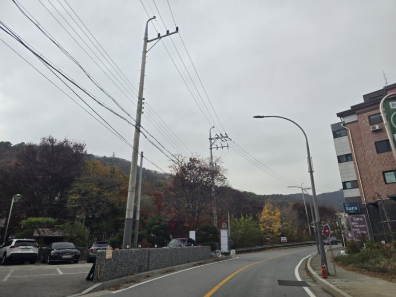 코다리덕장용인신봉점 이미지