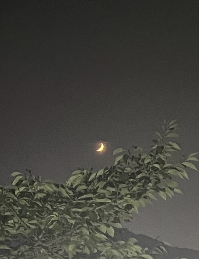 아델리아글램핑 이미지